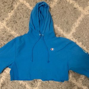 champion cropped hoodie